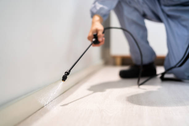Rodent Entry Point Assessment in Union City