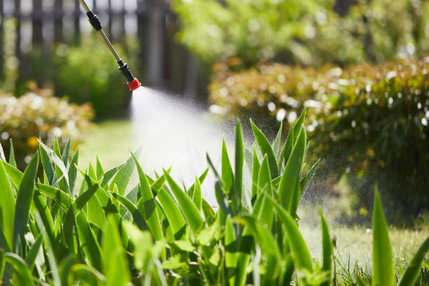 Tamper-Resistant Bait Stations for Rodents in Union City