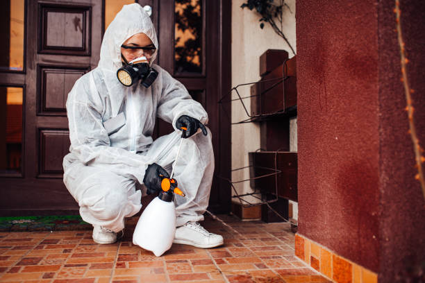 Attic and Crawl Space Rodent Treatment in Union City